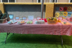 WhatsApp-Image-2024-06-15-at-12.00.31-1