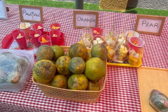 WhatsApp-Image-2024-06-15-at-12.00.32