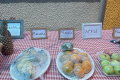 WhatsApp-Image-2024-06-15-at-12.00.33