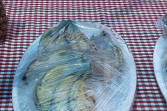 WhatsApp-Image-2024-06-15-at-12.00.34