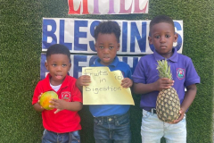 WhatsApp-Image-2024-06-15-at-12.00.38-2